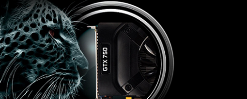 Imágenes y especificaciones de la GeForce GTX 750